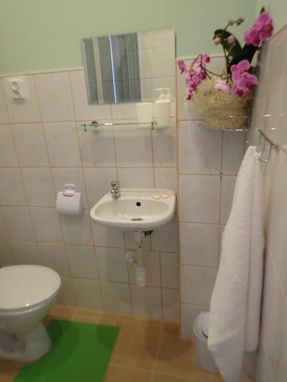 Noclegi Na Wzgorzu Zamkowym プシェムィシル 部屋 写真